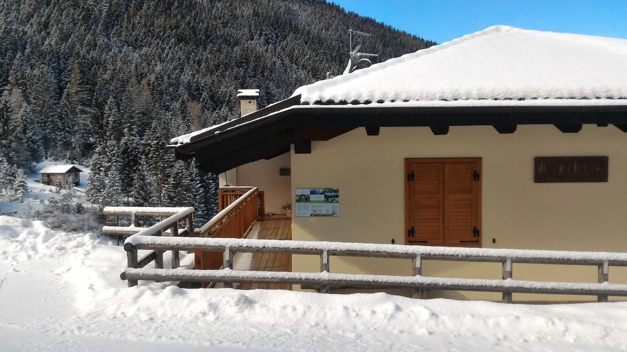 Il Cardo Trentino Apartment Bedollo Екстериор снимка